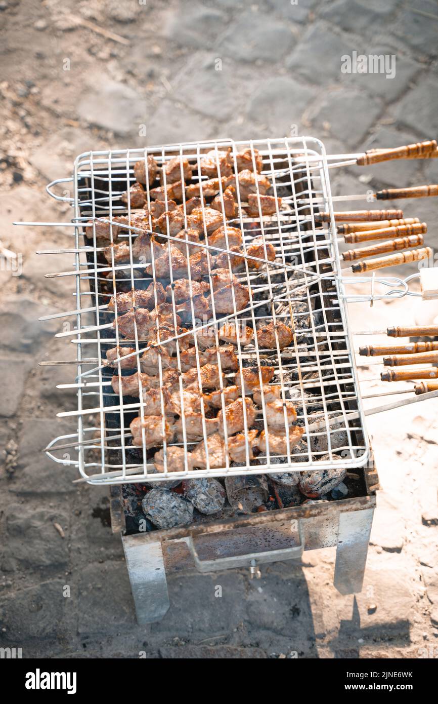 Carne De La Carne Asada En El Asador Eléctrico Foto de archivo - Imagen de  parrilla, almuerzo: 10127482