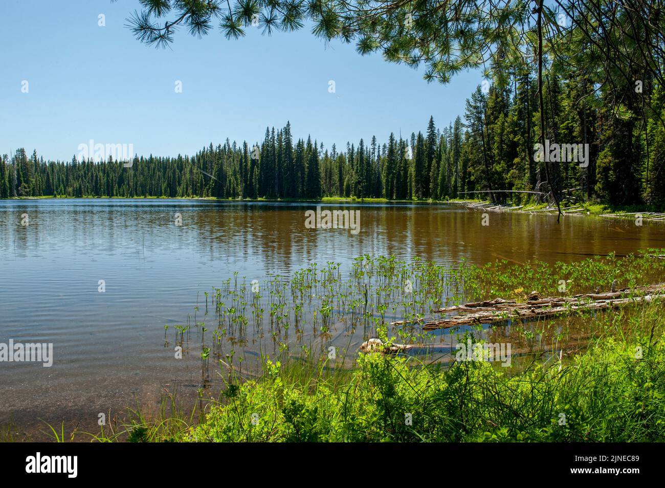 Lago Lemish, en el Bosque Nacional Deschutes Foto de stock