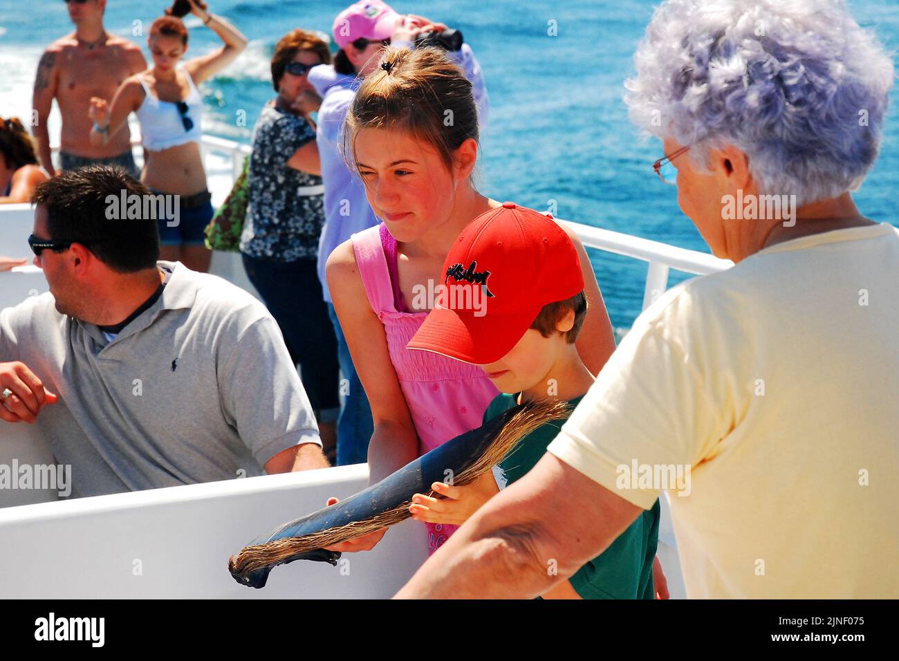 Una familia en un crucero de avistamiento de ballenas Examine Baleen de una ballena jorobada Foto de stock