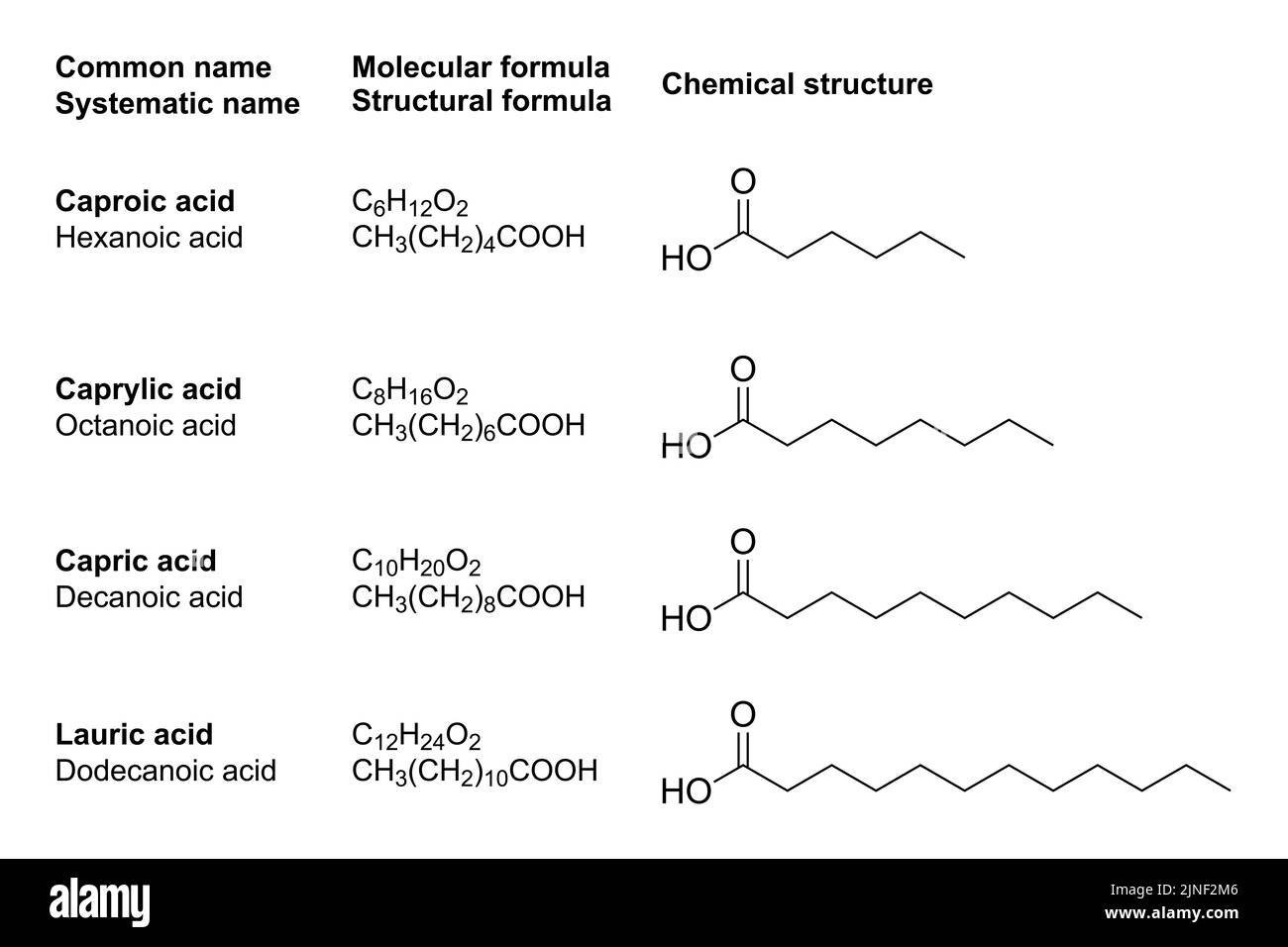 Ácidos grasos de cadena media, MCFA, estructuras químicas. Contenido en triglicéridos de cadena media, que producen más cuerpos cetónicos que las grasas dietéticas normales. Foto de stock