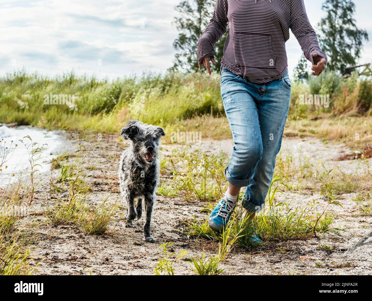 mujer sin rostro correr a lo largo de la orilla del lago con la mezcla de razas de perros de viaje y senderismo con mascotas perro caminar Foto de stock