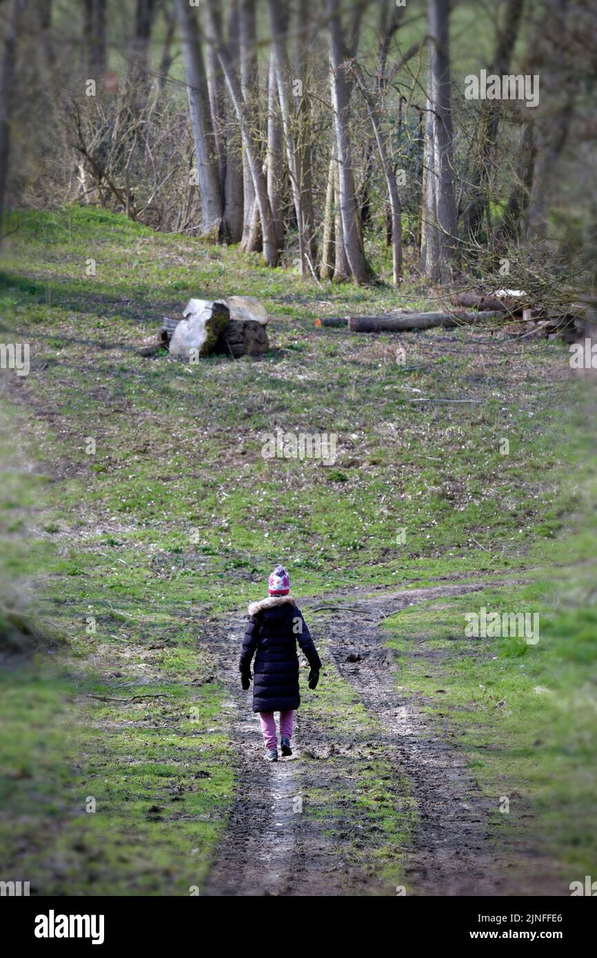 mujer solitaria caminando a lo largo de la pista en el bosque raydon suffolk inglaterra Foto de stock