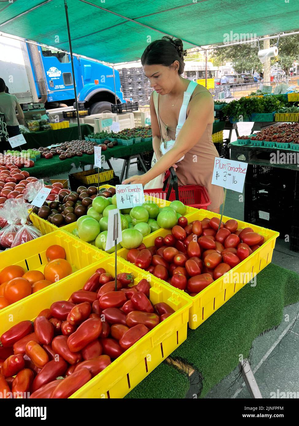 La mujer recoge la variedad de tomates frescos para la venta en el mercado de granjeros en el centro de Brooklyn, Nueva York. Foto de stock