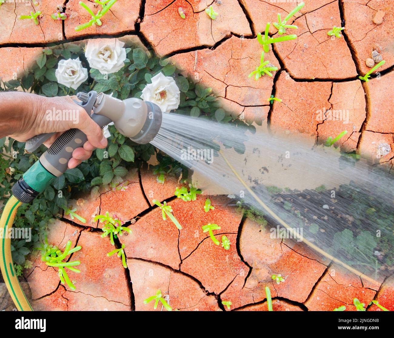 Prohibición de las pipas, sequía, calentamiento global, verano, cambio climático, Clima extremo, Reino Unido, concepto... Foto de stock