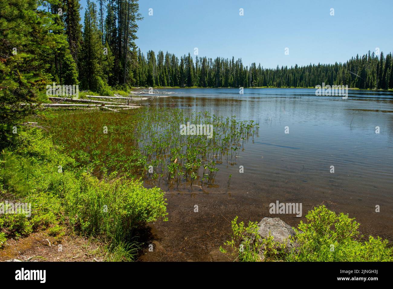 Lago Lemish, en el Bosque Nacional Deschutes Foto de stock