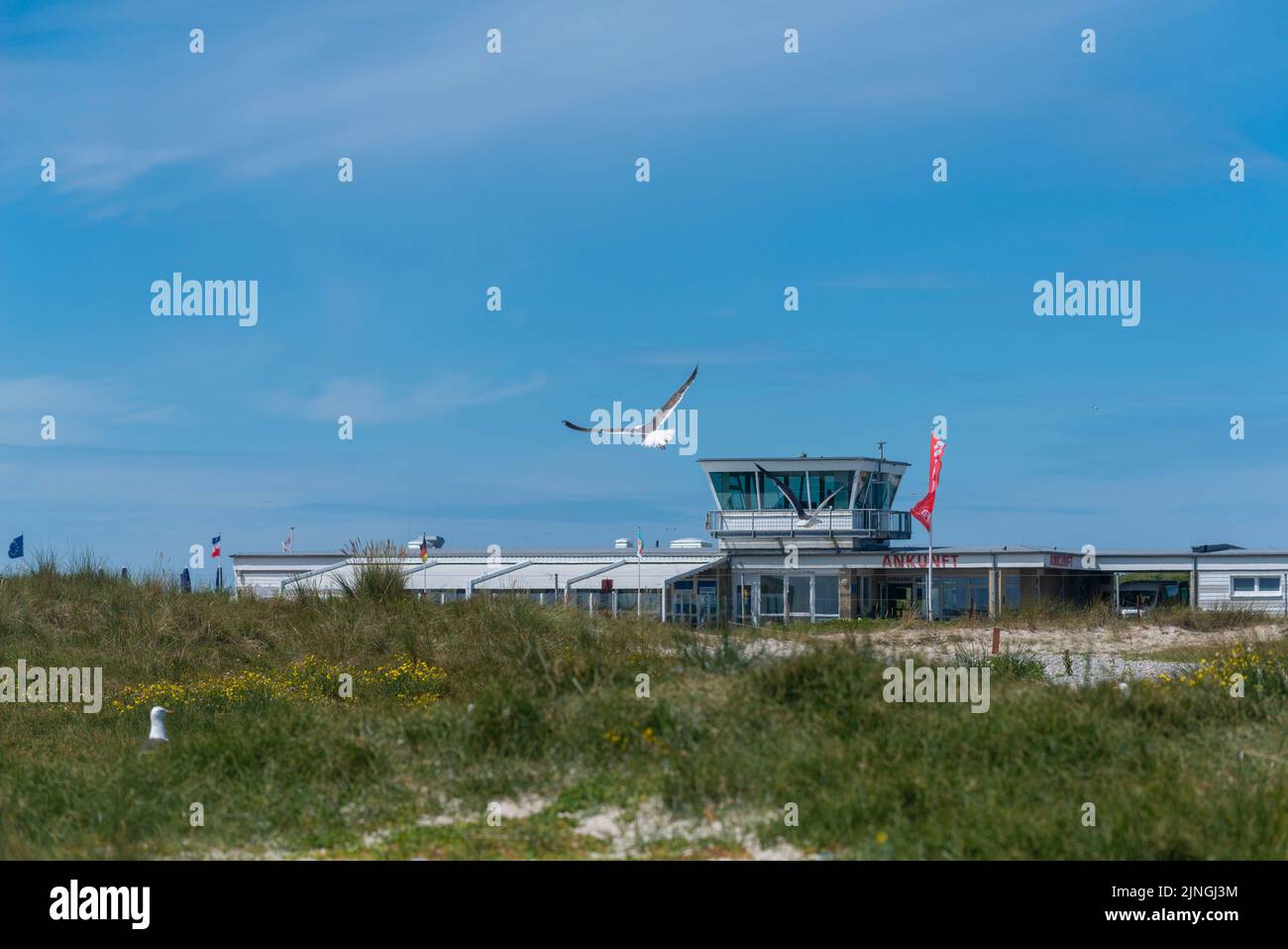 Pequeño aeropuerto en la isla de alta mar el Dune, parte de Heligoland, distrito Pinneberg, Schleswig-Holstein, norte de Alemania Foto de stock