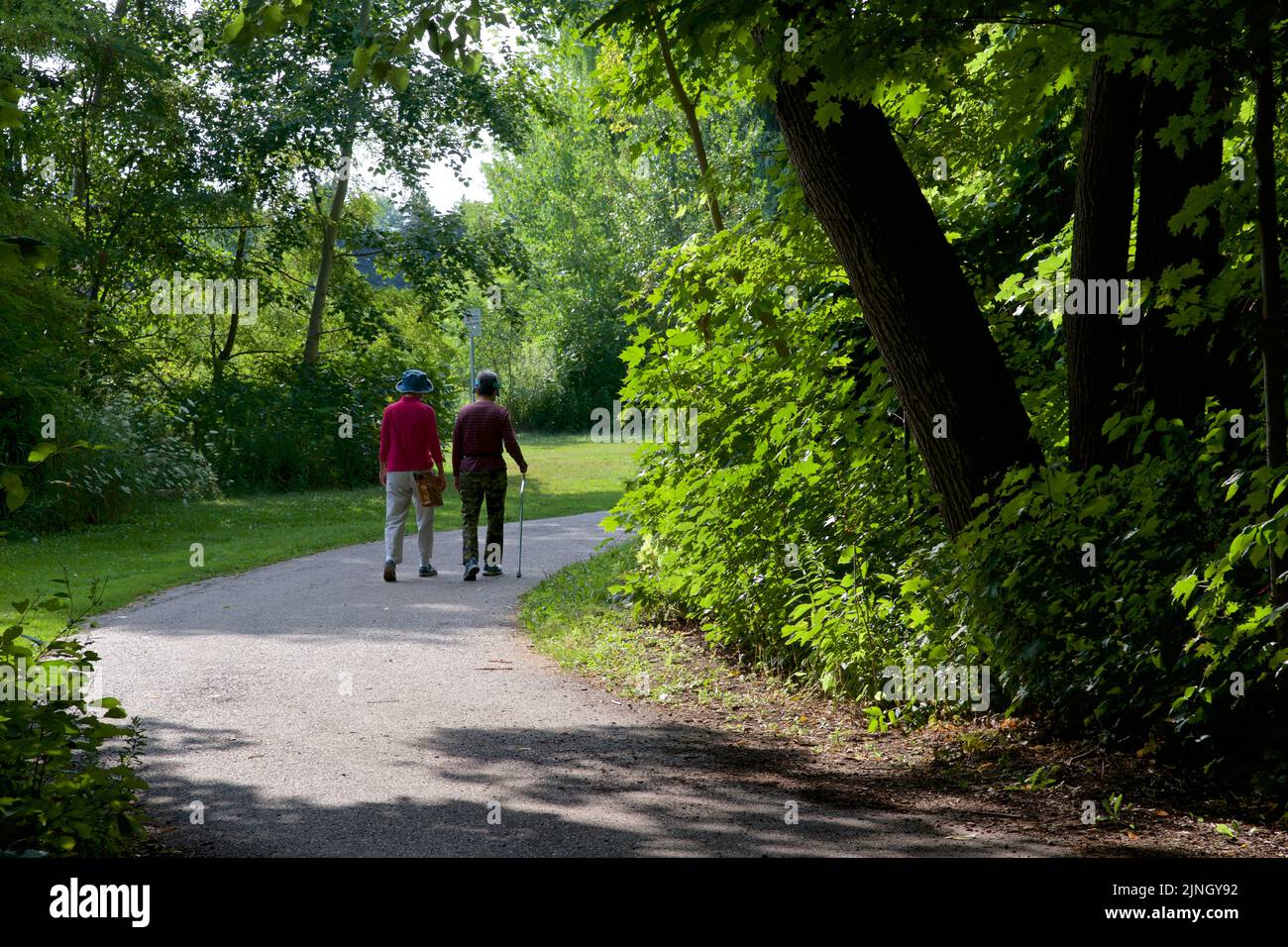 Adultos mayores caminando por el parque público con bastón Foto de stock