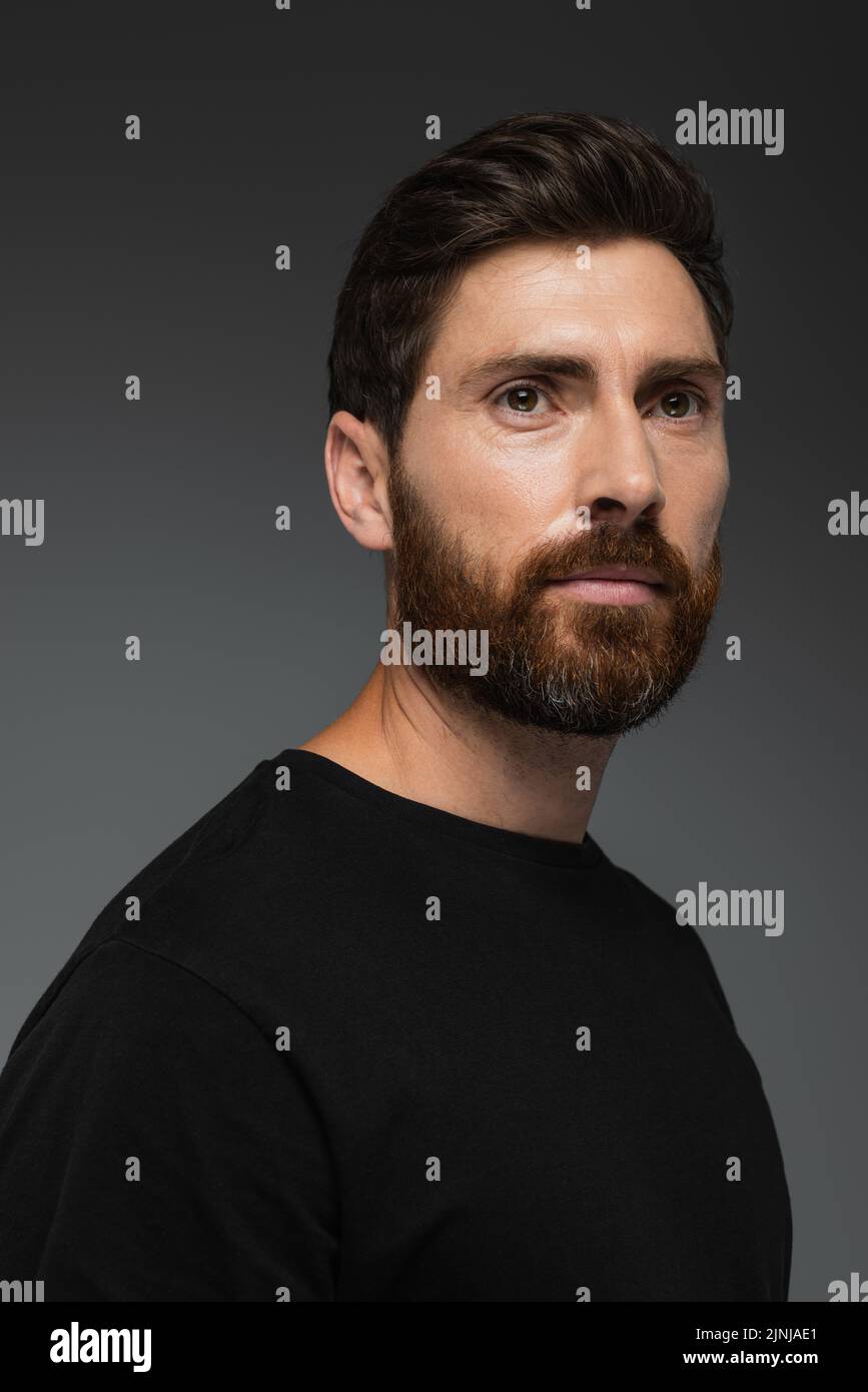 retrato de un hombre barbudo con aspecto en camiseta negra aislada sobre imagen de stock gris Foto de stock