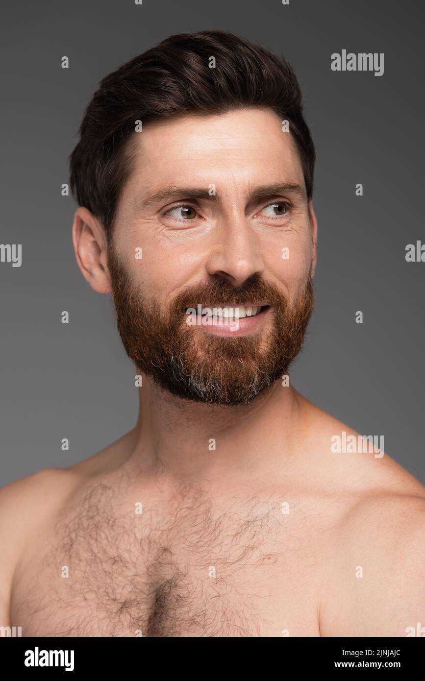 retrato de hombre sin camisa y feliz con pelo en pecho sonriendo aislado sobre imagen gris Foto de stock