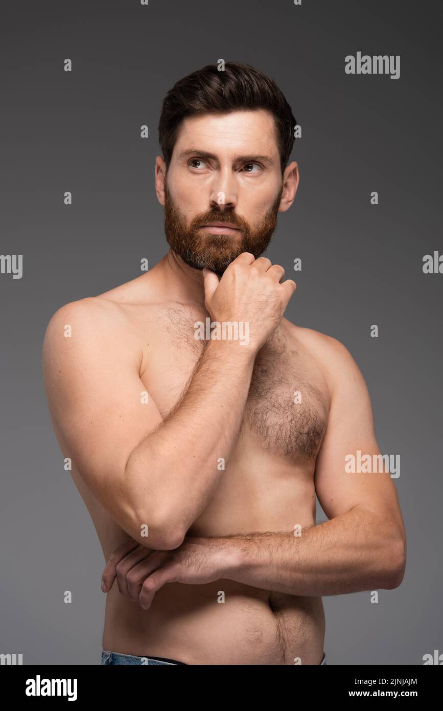 hombre sin camisa y pensativo tocando la barba aislado sobre imagen de archivo gris Foto de stock
