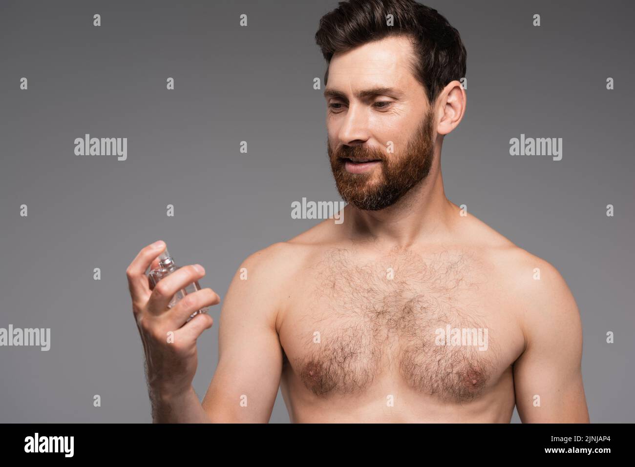 hombre barbudo y sin camisa mirando una botella de perfume aislada sobre una imagen de archivo gris Foto de stock