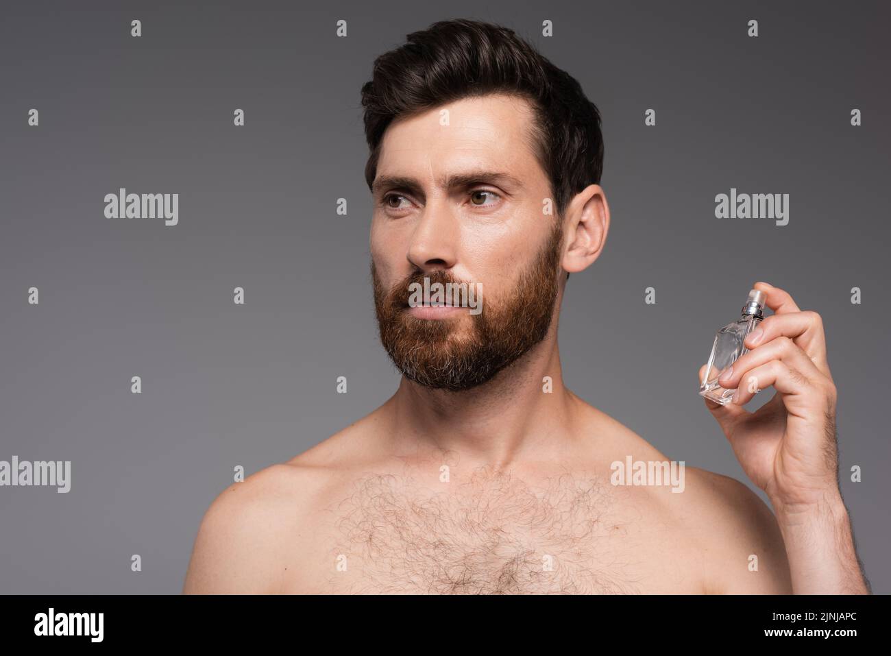 hombre barbudo y sin camisa con perfume aislado sobre imagen de archivo gris Foto de stock