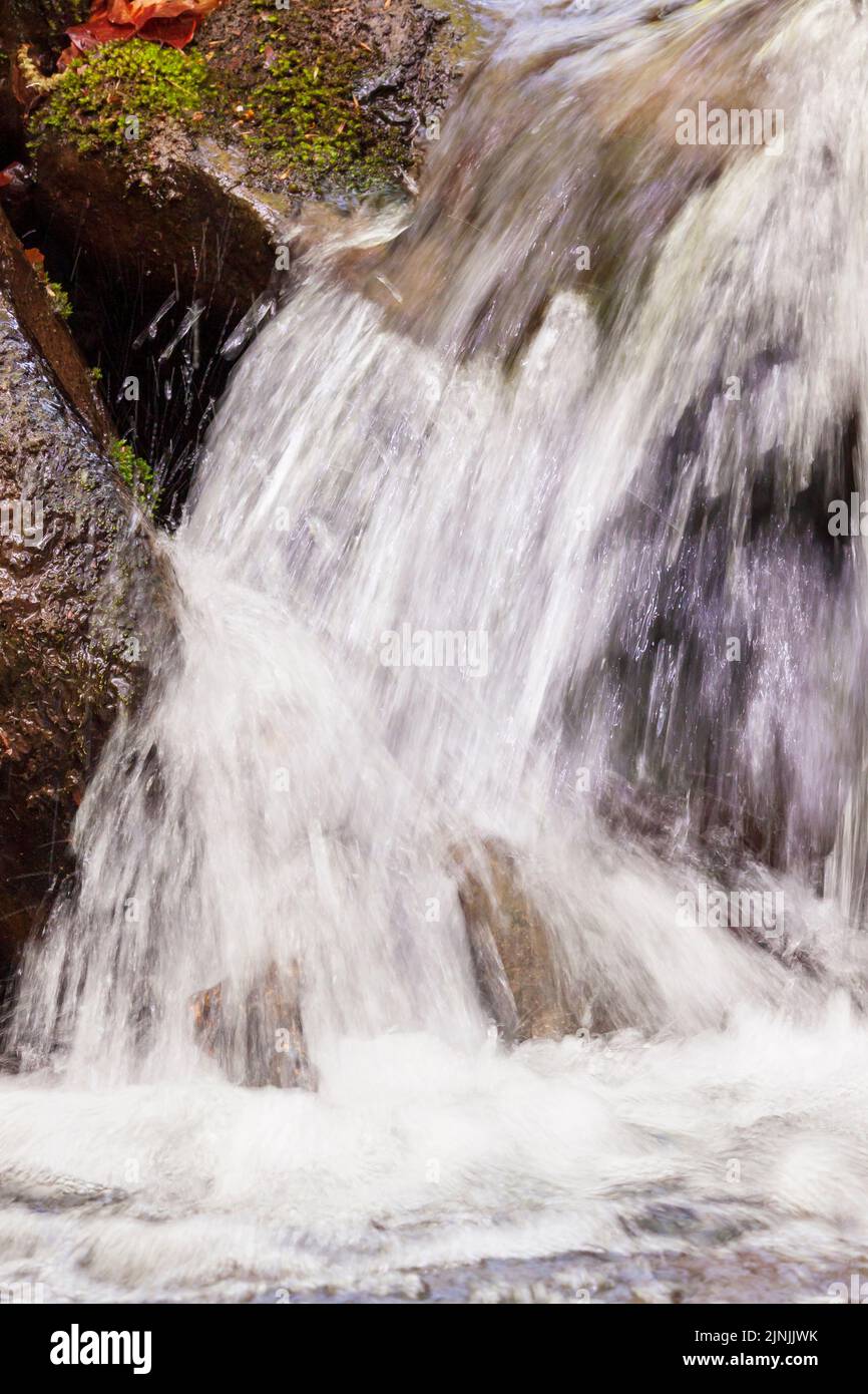 Vista sobre la cascada en un arroyo en las montañas de los Cárpatos Foto de stock
