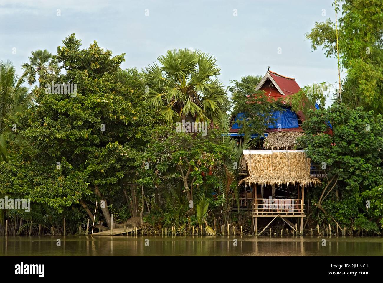 Cabaña pesquera de madera a orillas del río de la bahía de Kampong, Camboya, Kampot Foto de stock