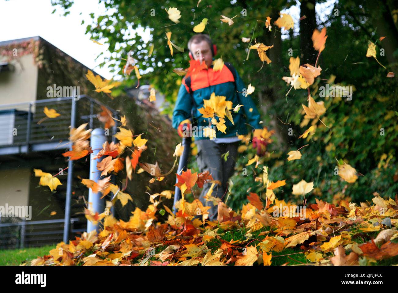 Jardinero trabajando con soplador de hojas, Alemania Foto de stock