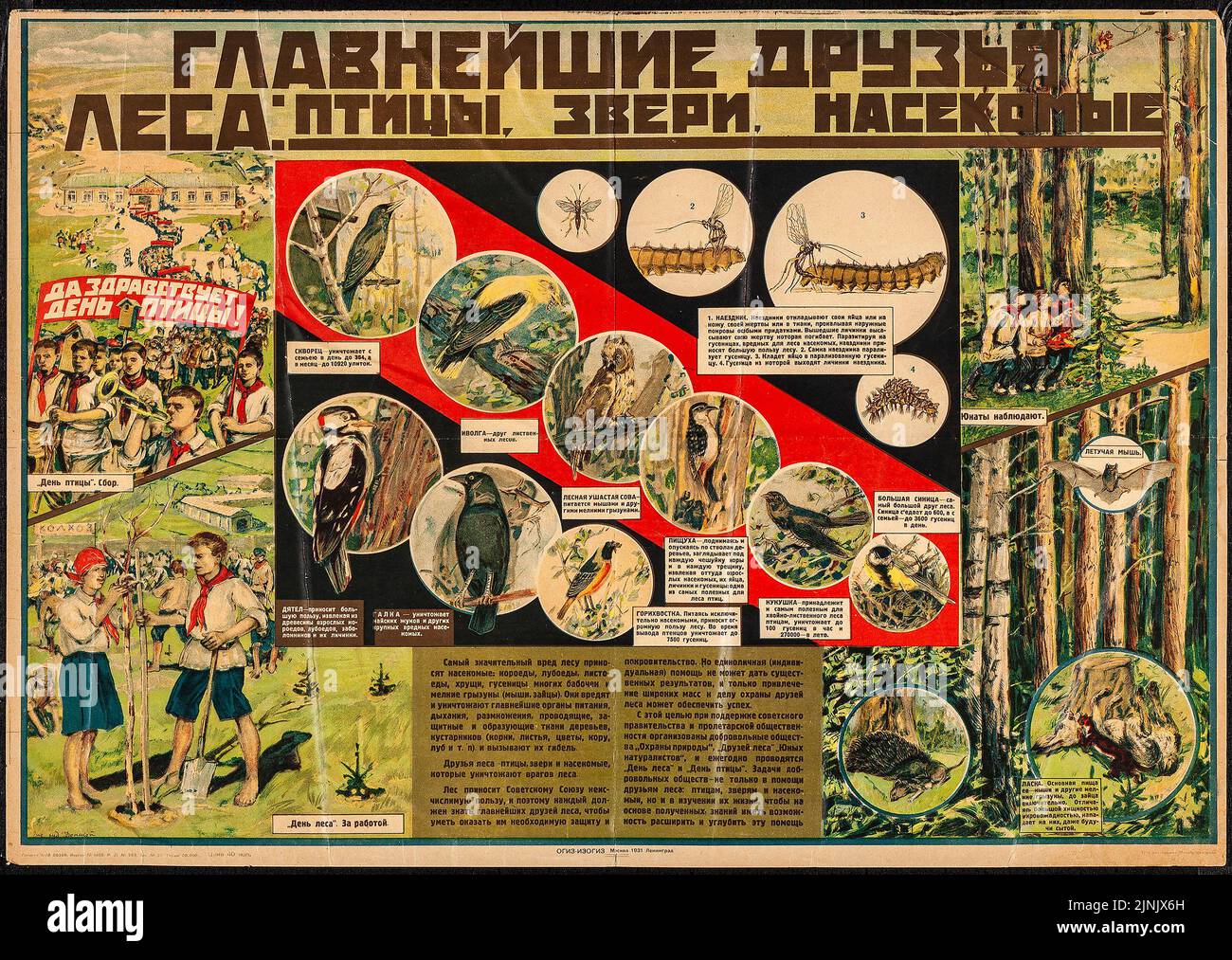 Bosques - aves, animales, insectos (1931). Póster educativo ruso Foto de stock