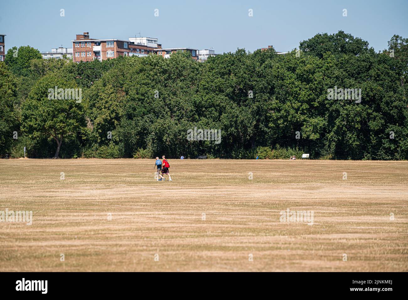 12 de agosto de 2022: Wimbledon Park, al suroeste de Londres, Reino Unido, en la ola de calor del verano de 2022 con hierba resecada Foto de stock