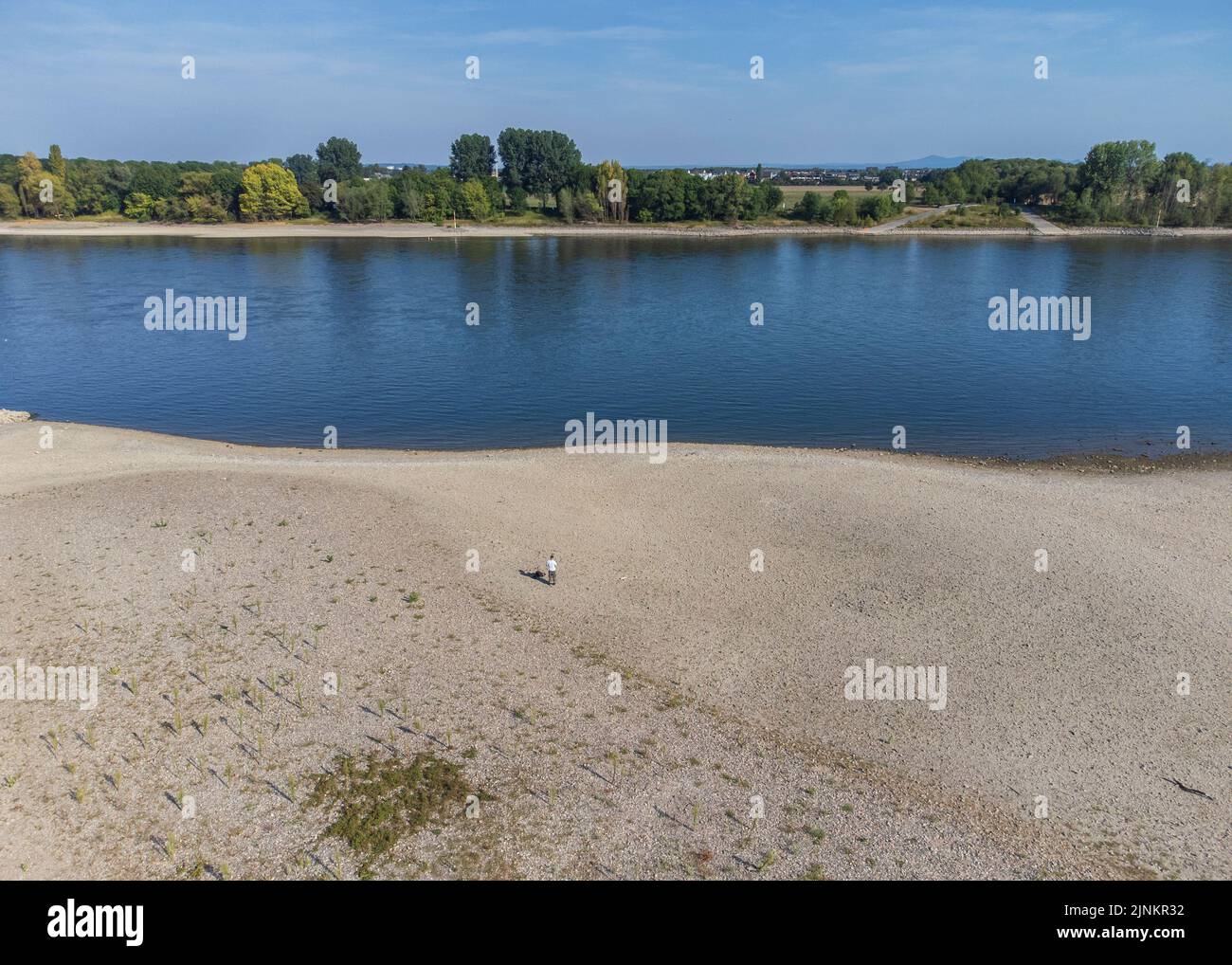 Niedrigwasser am Rhein, im Bild Kšln-SŸrth. Das Niedrigwasser am Rhein hat schon jetzt Auswirkungen auf die Schifffahrt, kšnnen die Schubschiffe Foto de stock