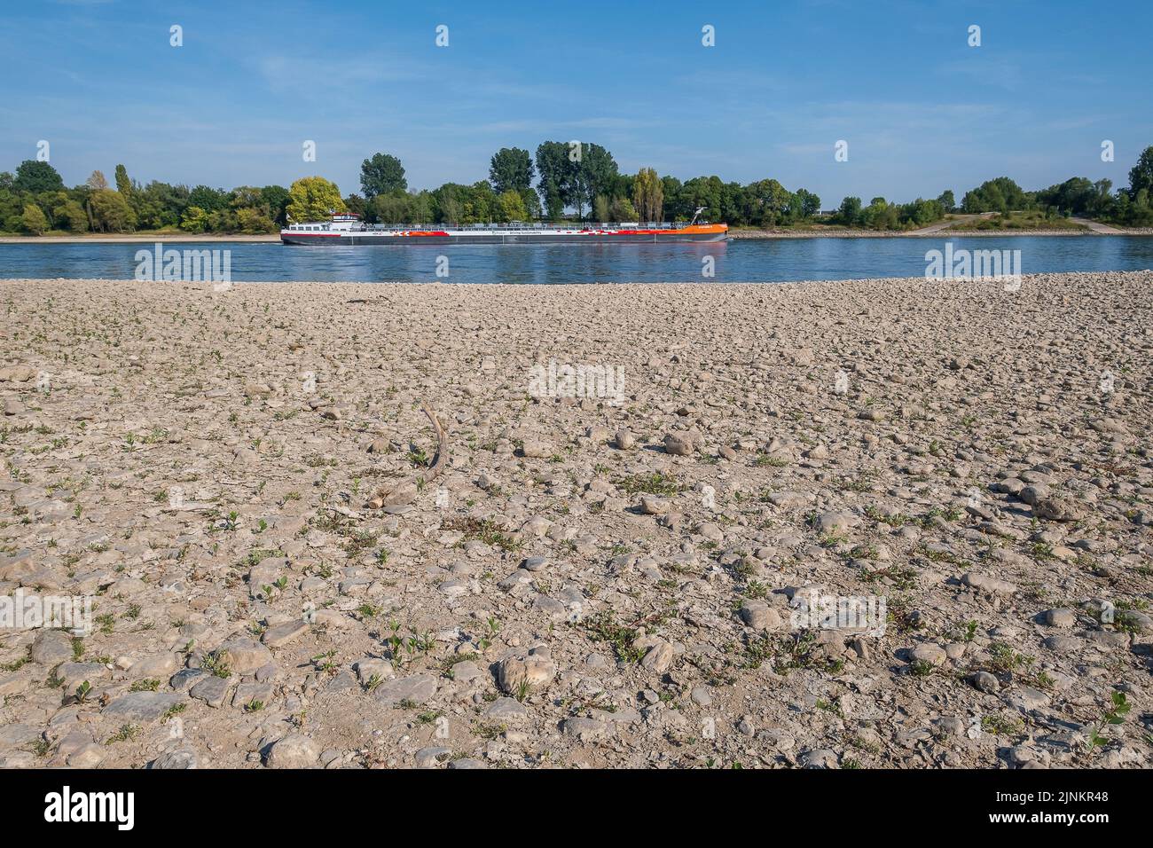 Niedrigwasser am Rhein, im Bild Kšln-SŸrth. Das Niedrigwasser am Rhein hat schon jetzt Auswirkungen auf die Schifffahrt, kšnnen die Schubschiffe Foto de stock