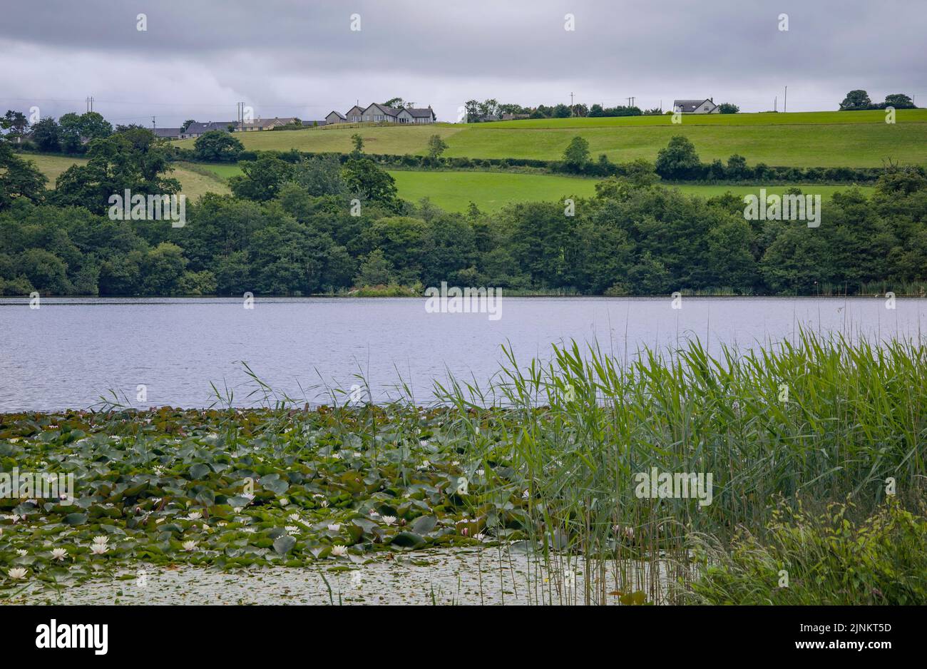 Lago en el Castillo Blarney. Hermoso paisaje. Irlanda, condado de Cork Foto de stock