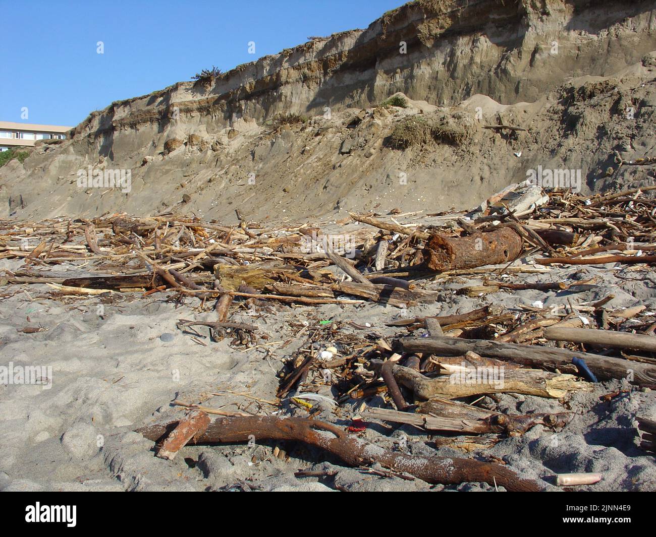 Troncos de madera en las playas dejados en las mareas altas en invierno. Consecuencias de la energía del oleaje, madera a la deriva depositada en la costa. Foto de stock