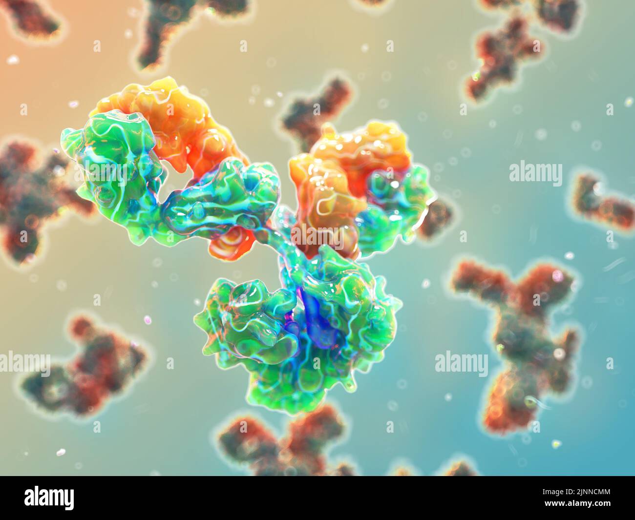 Ilustración de un anticuerpo IgG, conocido como inmunoglobulina. Tienen una estructura en forma de Y y permite la unión de antígenos. Foto de stock