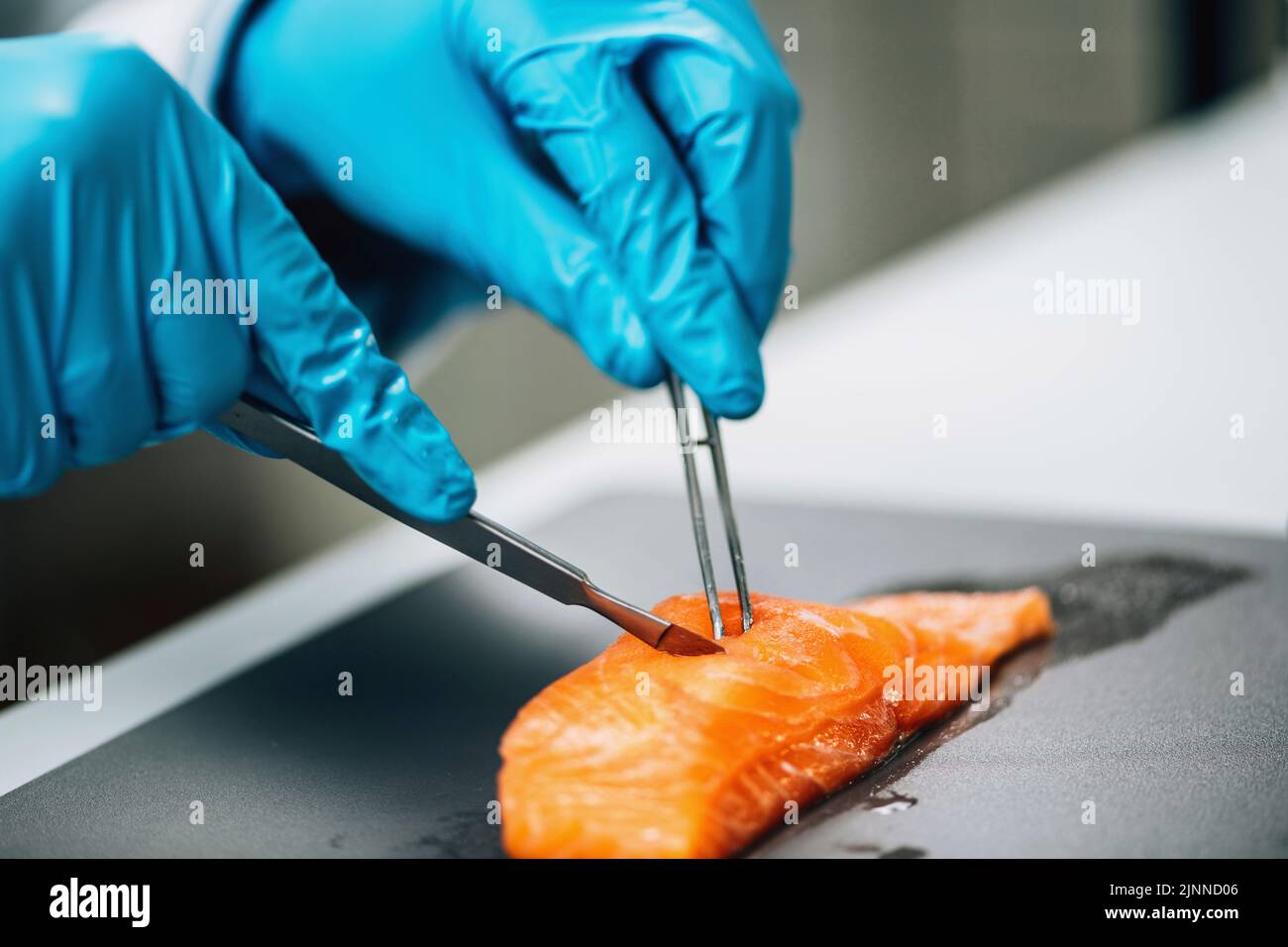 Inspector de control de calidad que toma la muestra de pescado. Foto de stock