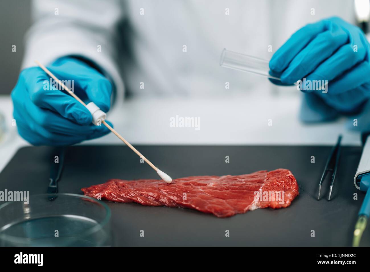 Inspector de control de calidad que toma muestras de carne roja. Foto de stock
