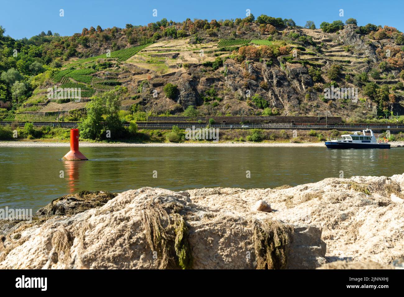 Sequía en Alemania. Aguas bajas del Rin por Oberwesel, Renania-Palatinado Foto de stock