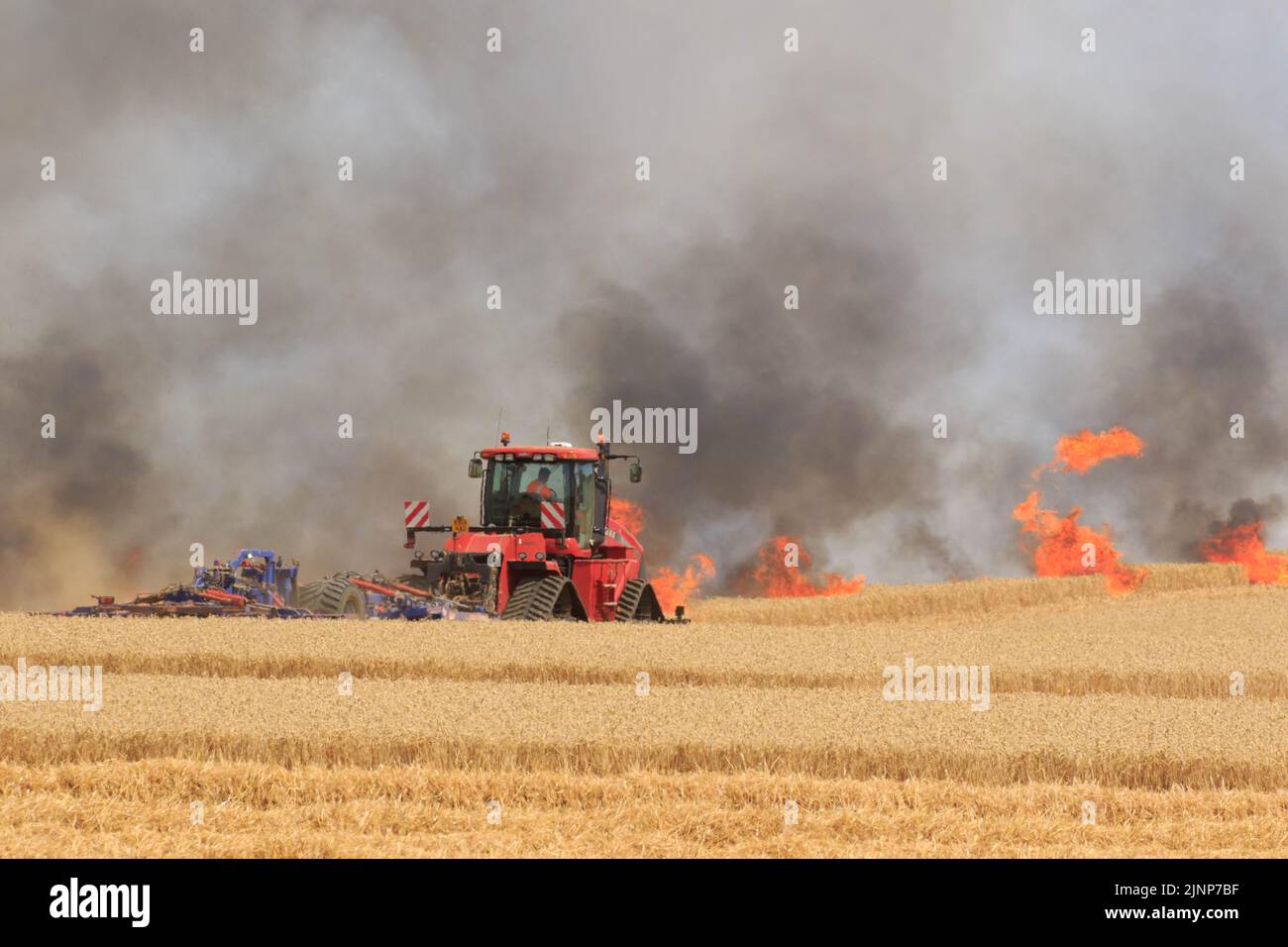 7-8-2022 Los bomberos y los agricultores se enfrentan a un incendio masivo en una cosecha de trigo en pie cerca del pueblo de Ridlington, Rutland ©Tim Scrivener Photographer 07850 303986 ....Cubriendo la agricultura en el Reino Unido.... Foto de stock