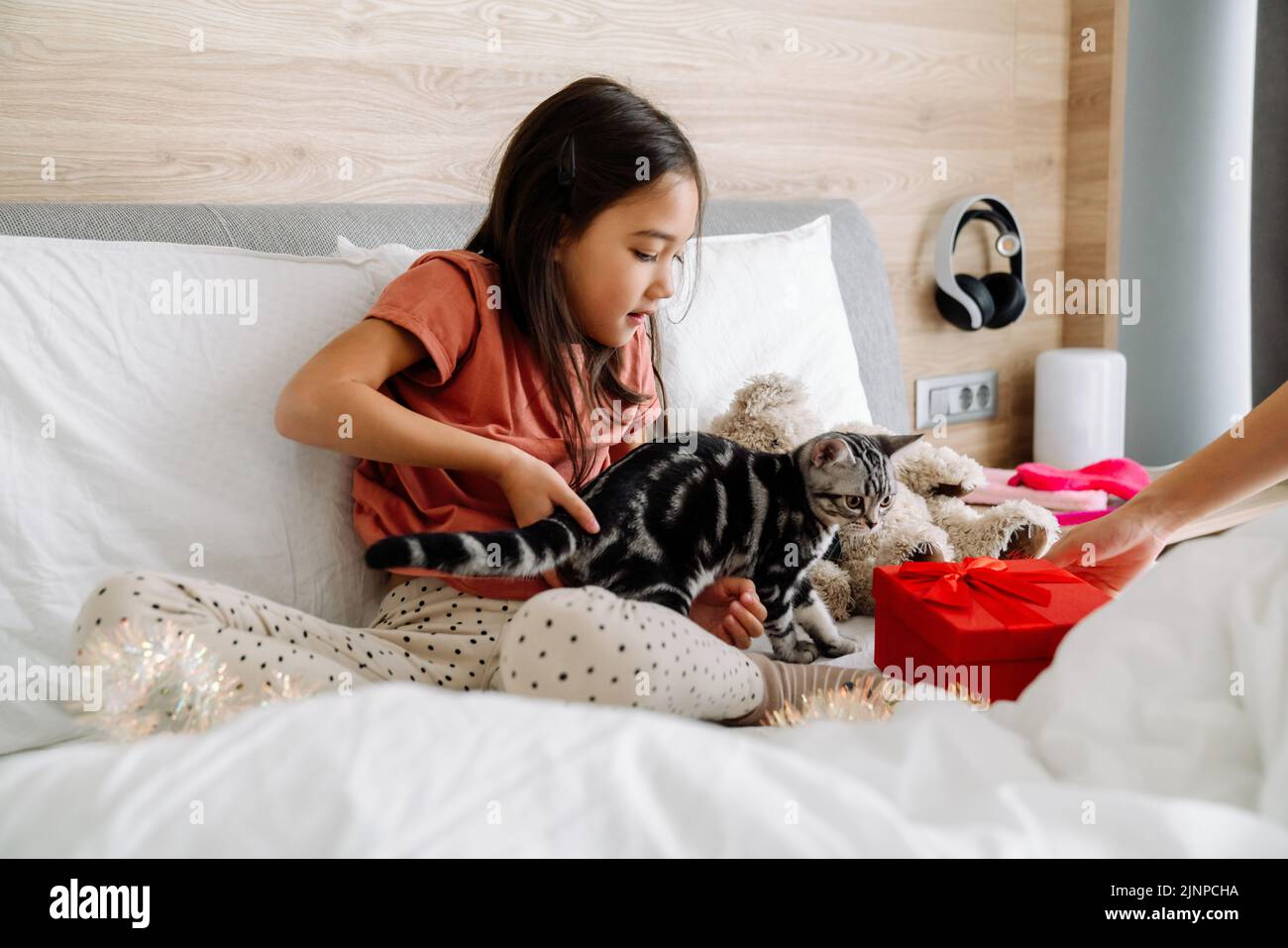 Chica asiática jugando con su gatito sentado en la cama en casa Foto de stock