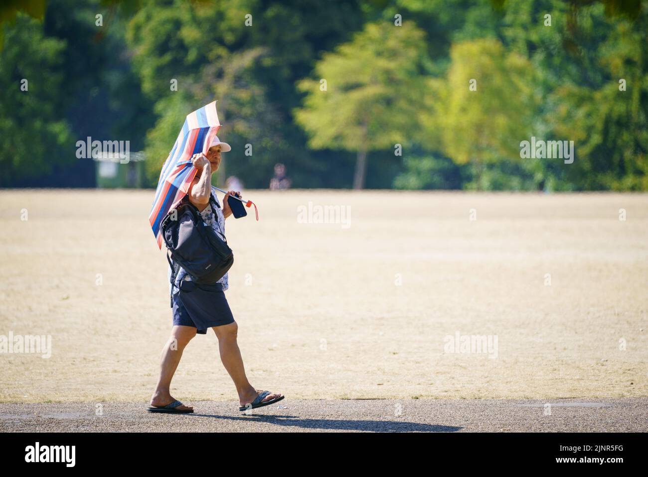 Una mujer se sombrilla en Hyde Park, Londres, cuando se ha declarado una sequía en algunas partes de Inglaterra después del verano más seco de los últimos 50 años. Fecha de la foto: Sábado 13 de agosto de 2022. Foto de stock