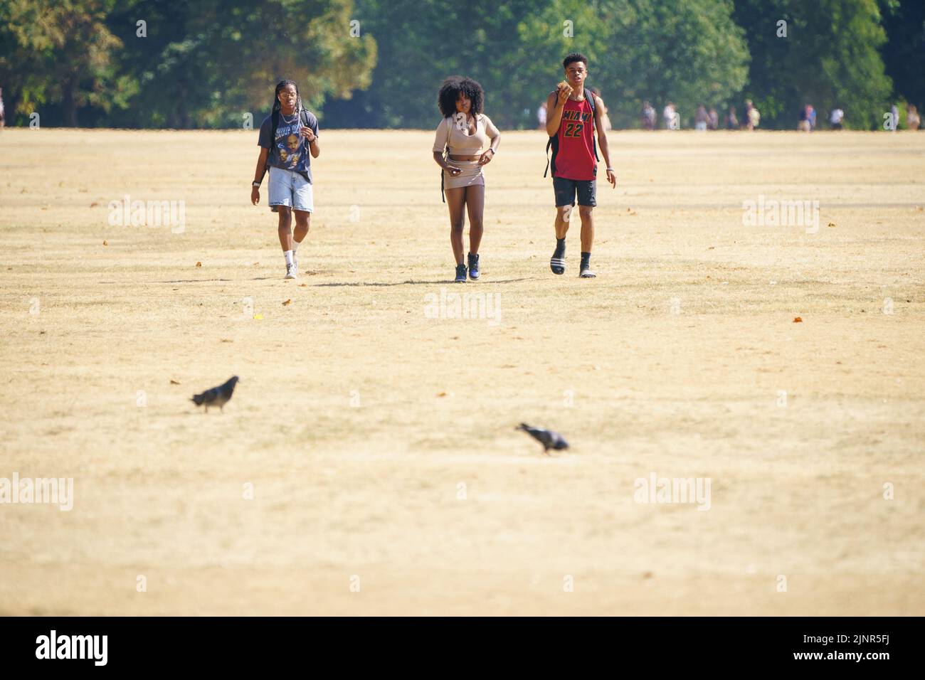 La gente camina a través del pasto reseco en Hyde Park, Londres, como una sequía ha sido declarada en partes de Inglaterra después del verano más seco de 50 años. Fecha de la foto: Sábado 13 de agosto de 2022. Foto de stock
