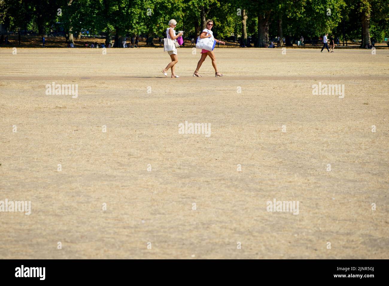 La gente camina a través del pasto reseco en Hyde Park, Londres, como una sequía ha sido declarada en partes de Inglaterra después del verano más seco de 50 años. Fecha de la foto: Sábado 13 de agosto de 2022. Foto de stock