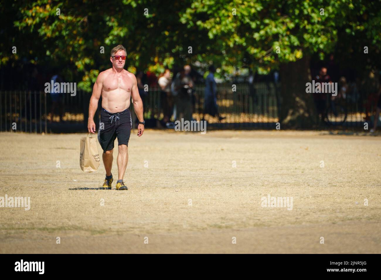Un hombre camina a través de la hierba resecada en Hyde Park, Londres, como una sequía ha sido declarada en partes de Inglaterra después del verano más seco en 50 años. Fecha de la foto: Sábado 13 de agosto de 2022. Foto de stock