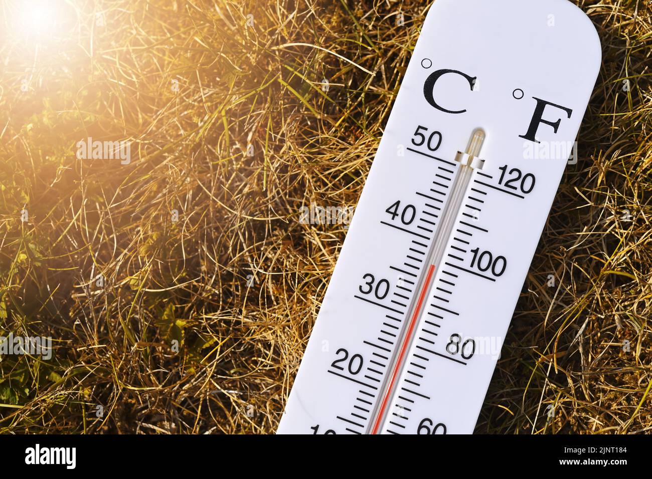 Termómetro de más de 30 grados Celsius sobre Hierba Seca, Symbol Photo Heat Wave Foto de stock