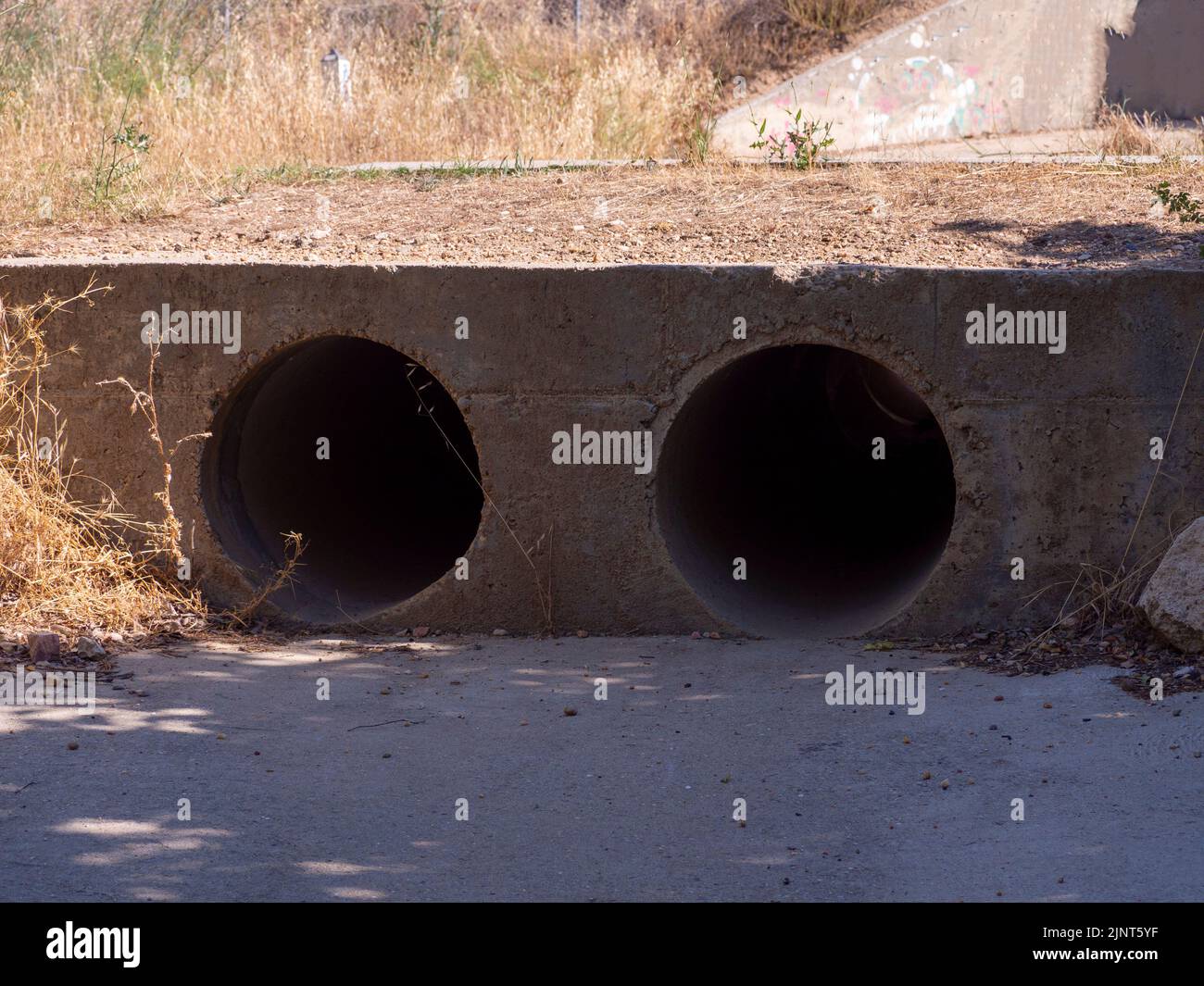 tubería de drenaje en medio de un bosque. Concepto de contaminación. Foto de stock