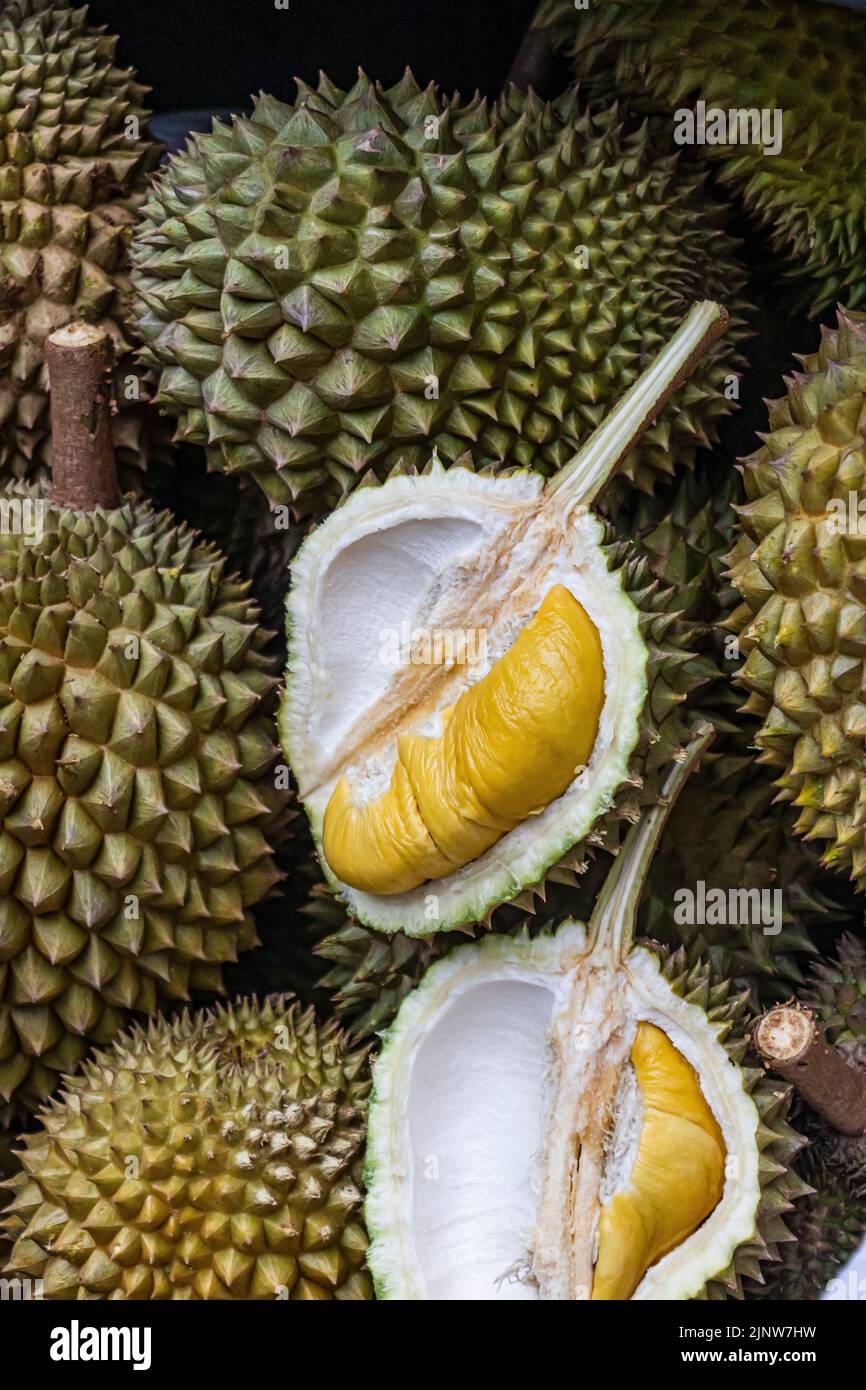 Primer plano de durian con pulpas maduras comestibles. Foto de stock