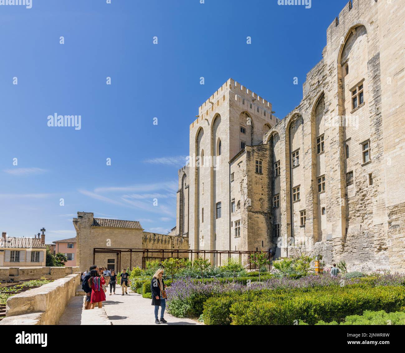Los jardines del Palais des Papes - Palacio de los Papas, Avignon, Vaucluse, Francia. El centro histórico de Aviñón está declarado Patrimonio de la Humanidad por la UNESCO. Foto de stock