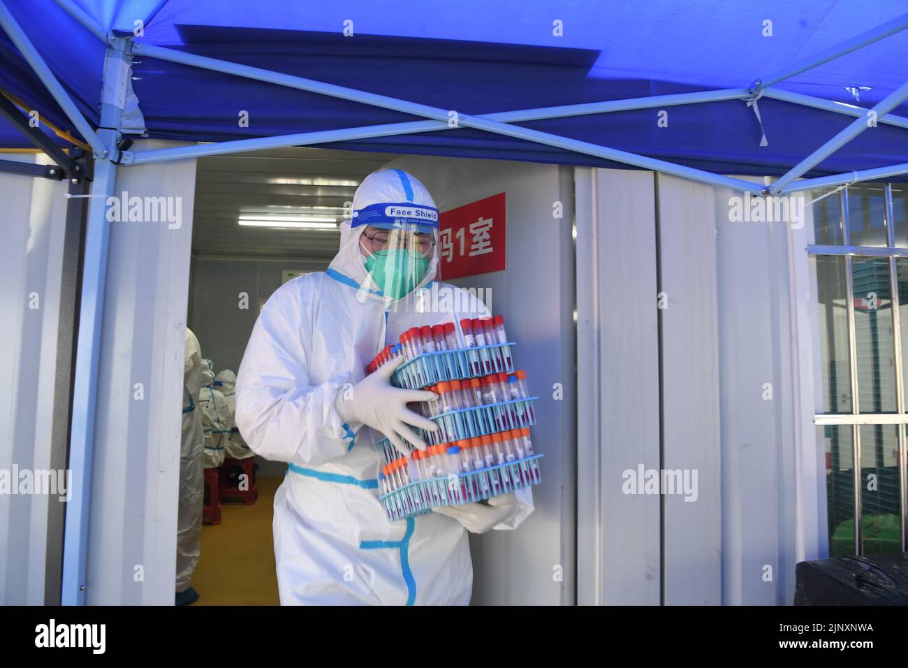 Sanya, provincia china de Hainan. 14th de Ago de 2022. Un trabajador médico transporta muestras de ácido nucleico en un laboratorio de pruebas en Sanya, en la provincia de Hainan, al sur de China, el 14 de agosto de 2022. Sanya ha optimizado los procesos de análisis de ácidos nucleicos en el último resurgimiento de COVID-19. Crédito: Zhao Yingquan/Xinhua/Alamy Live News Foto de stock