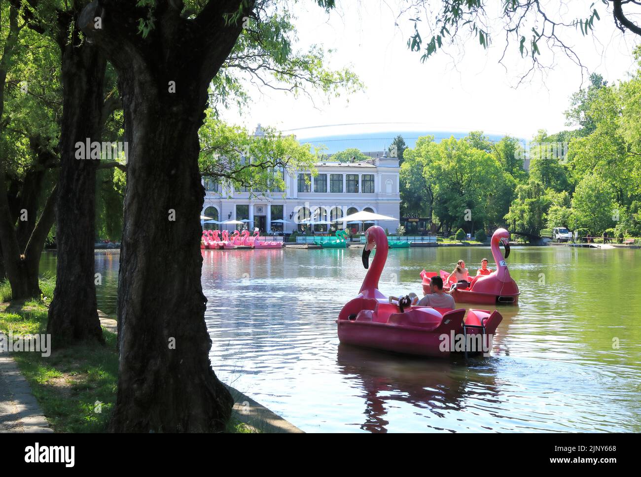 El lago en barco en Central Park en Cluj-Napoca, la capital histórica de Transilvania, Rumanía Foto de stock