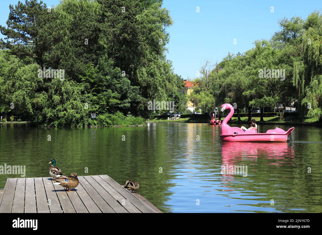 El lago en barco en Central Park en Cluj-Napoca, la capital histórica de Transilvania, Rumanía Foto de stock