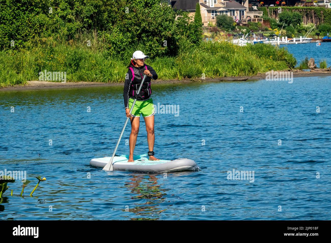 Issaquah, Washington, EE.UU. Mujer de pie a remo en el lago Sammamish. Foto de stock