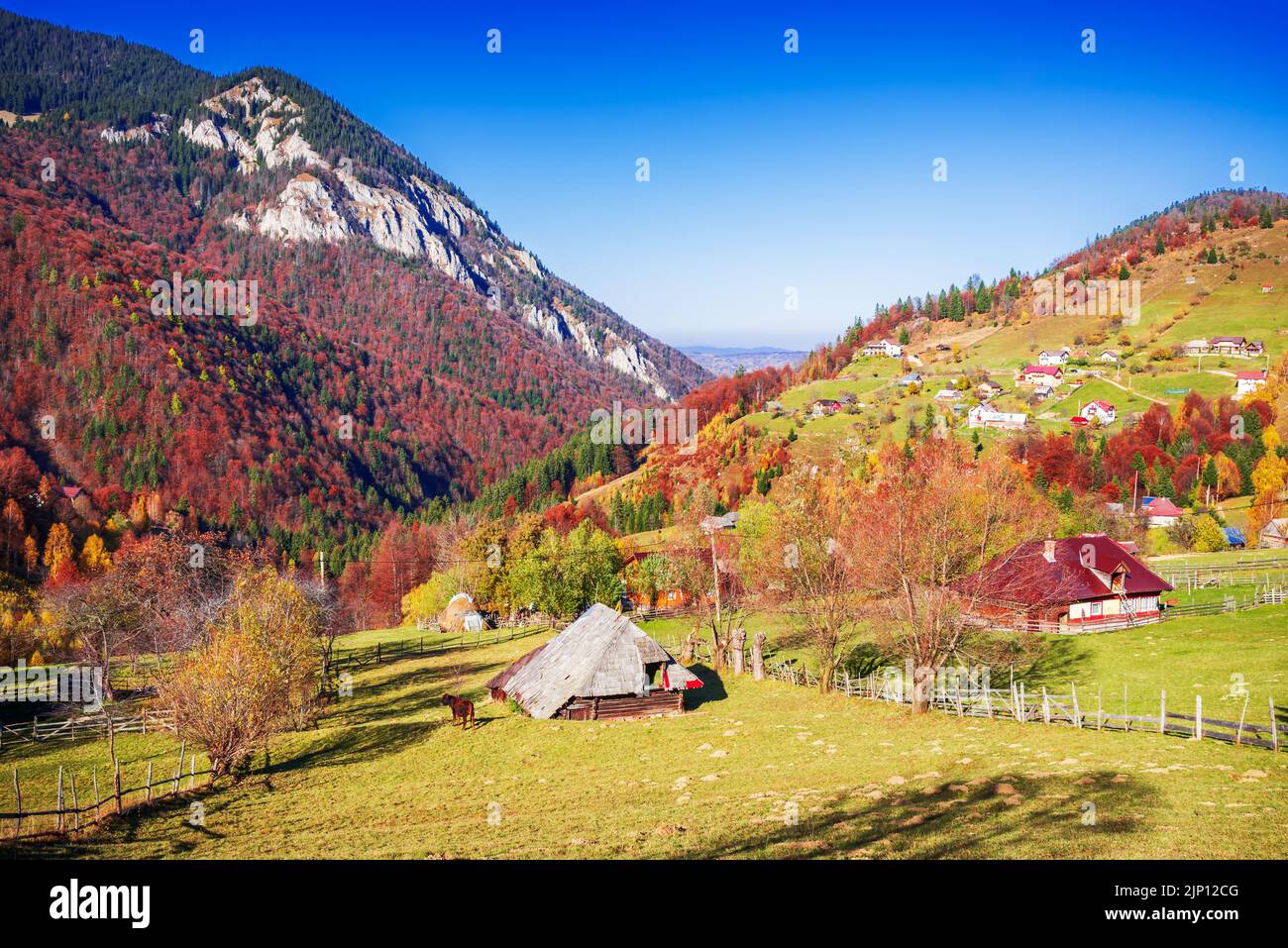 Montañas Cárpatos. Hermoso paisaje de colores otoñales en Magura, Piatra Craiului montañas, Rumanía. Foto de stock