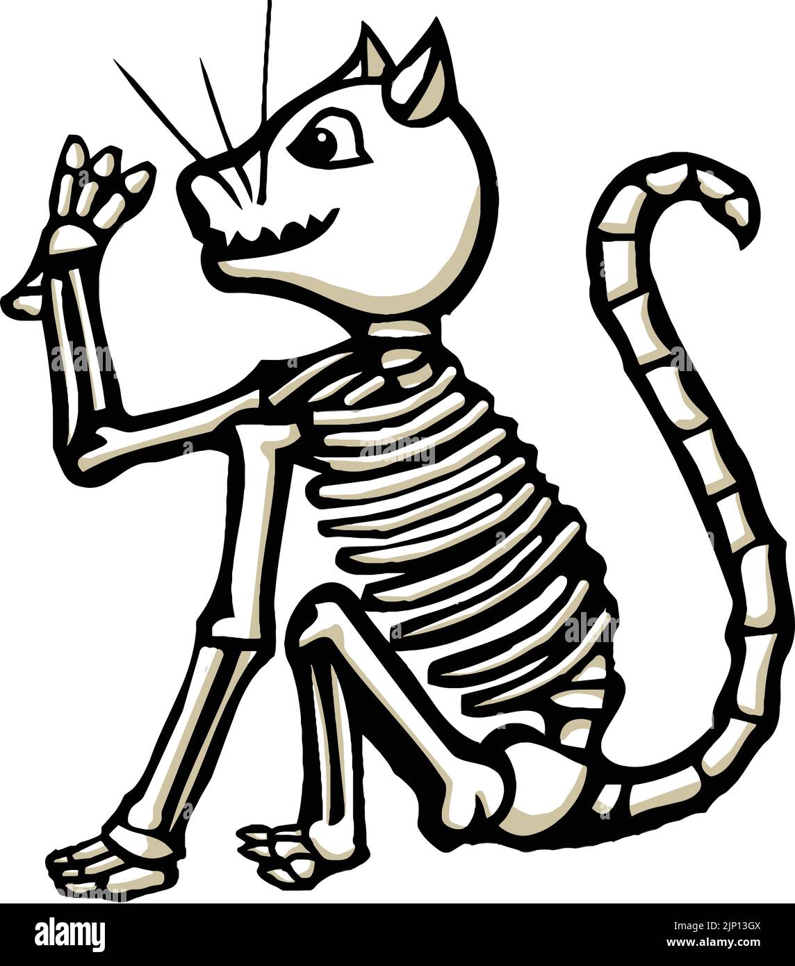 Gato esqueleto fotografías e imágenes de alta resolución - Alamy