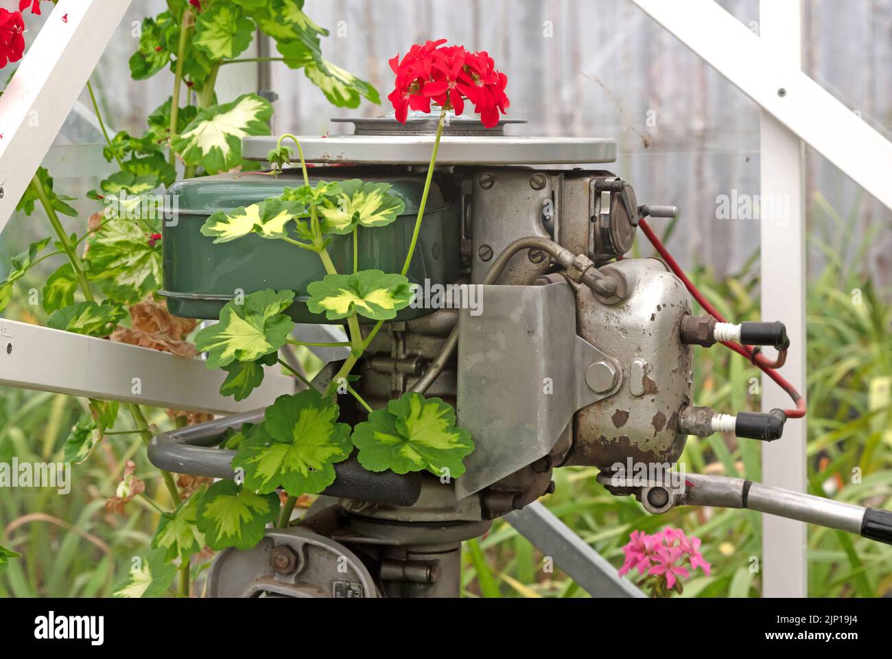 Viejo motor fueraborda de época, cubierto de flores Foto de stock