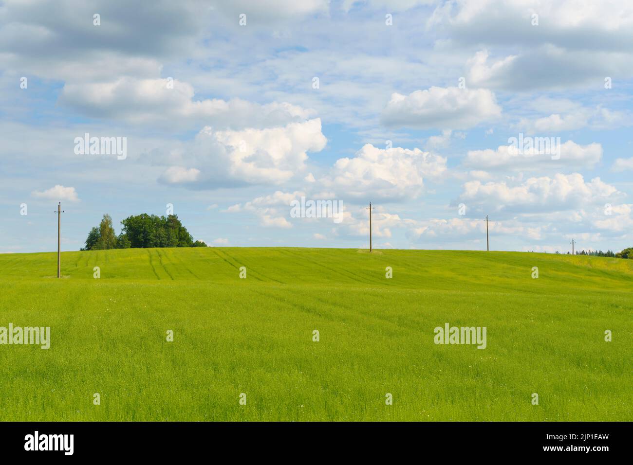 Verano paisaje rural con campo verde y prado bajo el cielo azul soleado. Fotografía de alta calidad Foto de stock