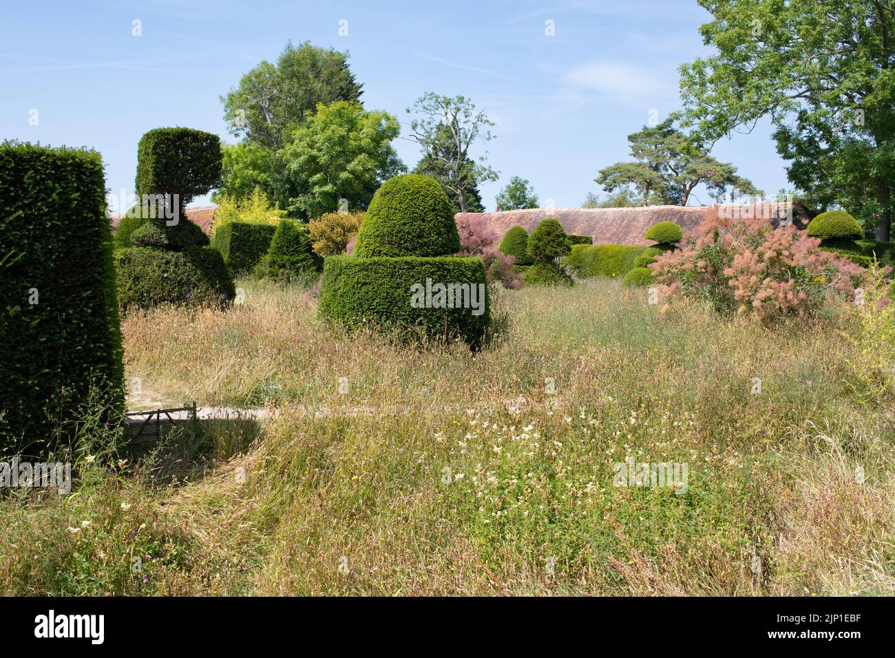 Great Dixter topiary lawn, Northiam, Rye, East Sussex Foto de stock