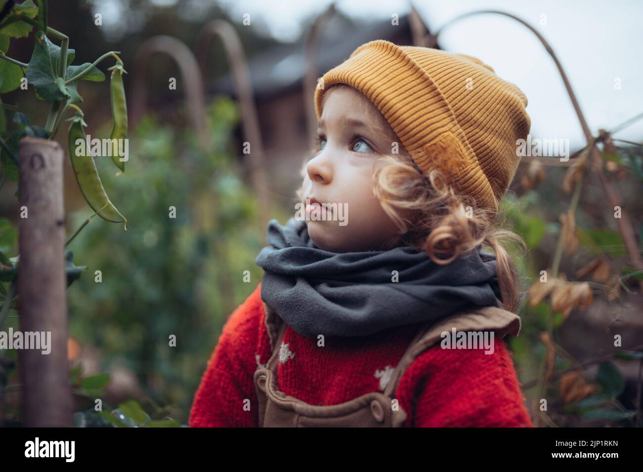 Retrato de una niña rubia en el jardín otoñal con ropa cálida. Foto de stock