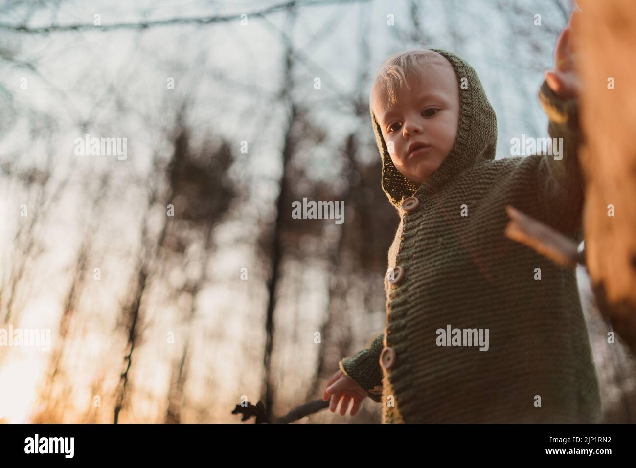 Niño curioso en suéter de punto a pie en la naturaleza otoñal, mirando la cámara. Vista de ángulo bajo. Foto de stock